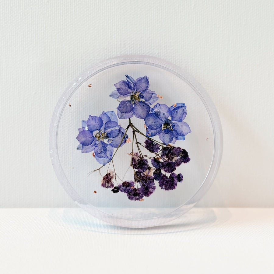 2025 3-Day Botanical Workshop