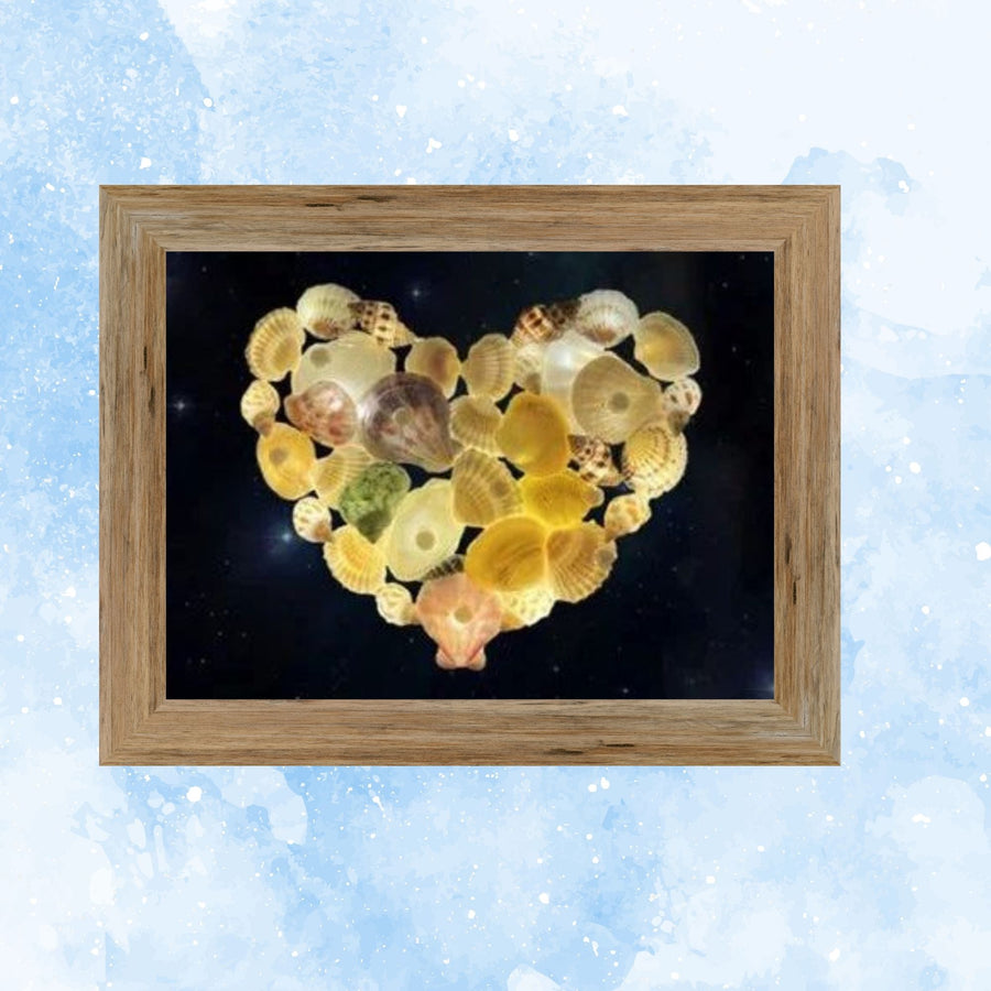 June Holiday – Seashells Lighted Frame