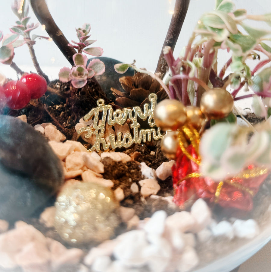 2025 3-Day Botanical Workshop