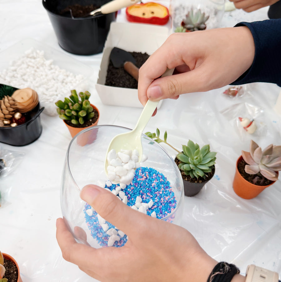 2025 Christmas Terrarium